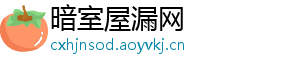 暗室屋漏网